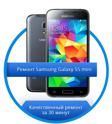 Samsung Galaxy S5 Mini